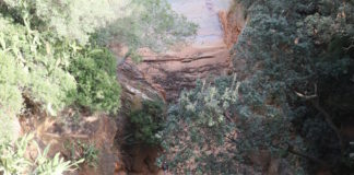 El camí de ronda de cala Ametller de Sant Feliu, a punt a l’estiu