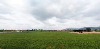 La Diputació de Barcelona impulsa la transició cap a sistemes alimentaris en clau agroecològica al Vallès