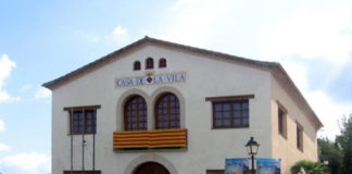 Olivella