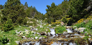 Canvis en les subvencions als espais naturals de Catalunya, als hàbitats i espècies, en el marc del Programa de desenvolupament rural de Catalunya 2014-2020