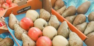 Les cooperatives agràries es sumen a la venda en línia de productes de proximitat