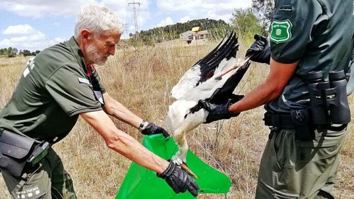 31.08 Unió de pagesos