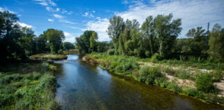 Acord a quatre bandes per potenciar l’ecosistema dels rius de la ciutat de Girona