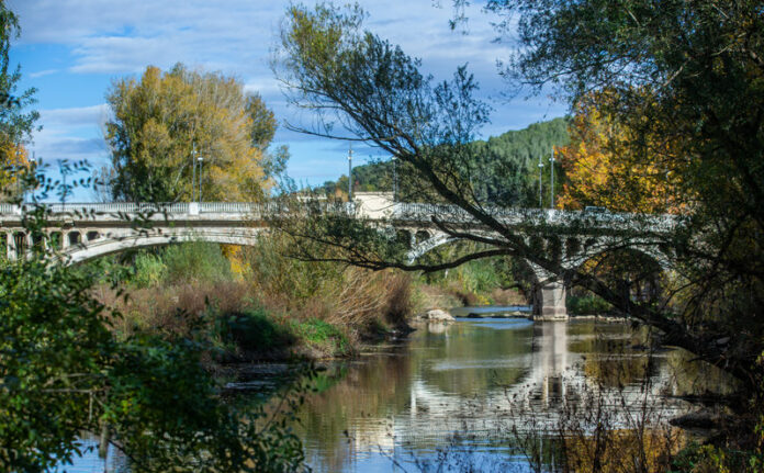 Girona. Imatges de rius de la ciutat. És sobre el pla de conservació i manteniment dels rius urbans de Girona. El Ter a l'alçada de Pont Major
