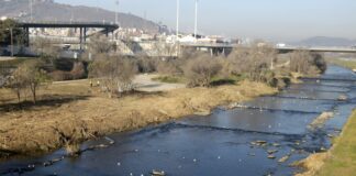 Comencen a renaturalitzar el riu Besòs