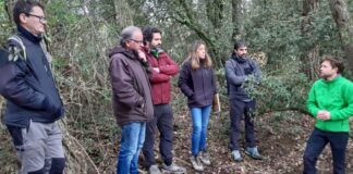 Analitzen l’impacte que el foc del 2003 té en aqüífers de pobles del Moianès