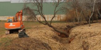 Sant Fruitós organitza una plantada d’arbres autòctons a l’entorn del riu d’Or