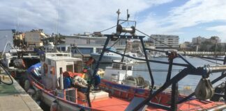 Palamós es fa seva la petició d’ajut del sector pesquer