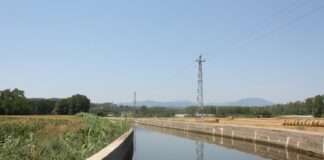 Ajuts de nou milions per millorar regadius de Lleida