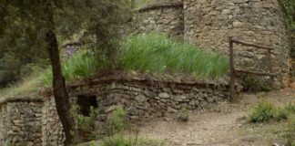 El risc d’incendi creix al Bages amb un 30% menys de sòl agrícola en 60 anys