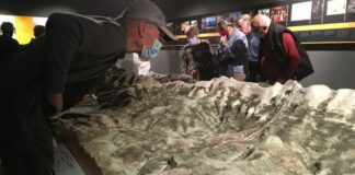 Bellver crea una mostra permanent sobre la seva història i espai natural