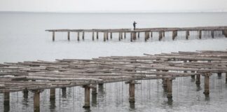 El Delta és el lloc òptim per al cultiu industrial d’algues