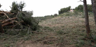 Palafrugell suspèn llicències en l’àmbit del PDU del litoral