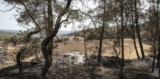 El govern espanyol garanteix ajuts directes per als afectats de l’incendi de Castellar de la Ribera