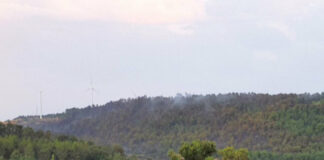 Controlat l’incendi de Vallbona de les Monges
