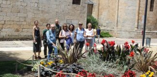 Viles Florides avalua l’enjardinament i espais verds de la Seu per renovar i certificar aquest distintiu que ostenta la ciutat