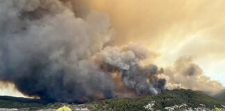 El foc del Bages ja ha cremat unes 1.500 hectàrees