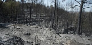 Movistar preveu deixar resolta la desconnexió de Mura aquest dijous