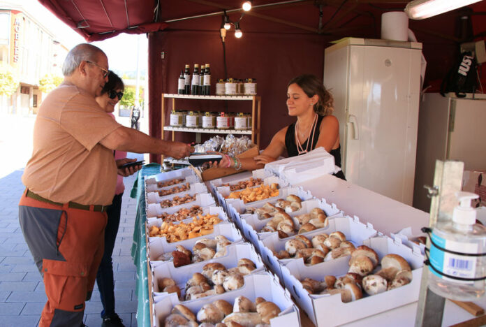 Mercat del Bolet de Cal Rosal, a Olvan (Berguedà). Les pluges de finals d'agost han fet aflorar els bolets abans de l'habitual i ha permès avançar una setmana la seva obertura 4640#Agència ACN