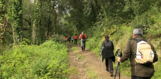 Procés participatiu per protegir el parc del Montseny