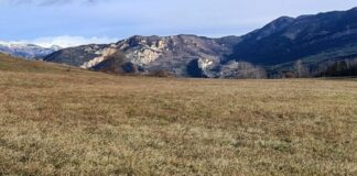 Una empresa danesa vol instal·lar un parc solar entre Cercs i Fígols