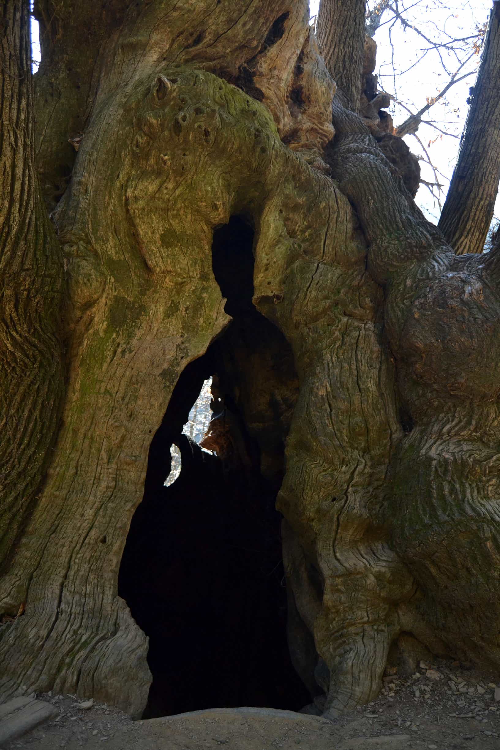 detall_entrada_soca-min