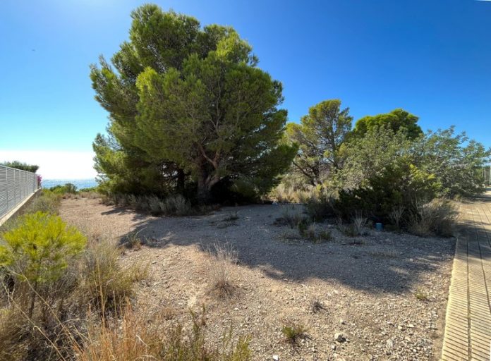 4.9 solar Via Augusta Vandellos