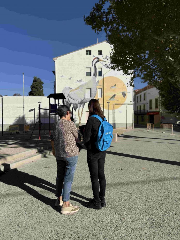 5.11 enquesta Pla Urgell