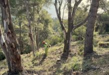 El Consell Comarcal de la Selva completa les franges de protecció i reforça la seguretat dels municipis