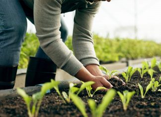 Regles més senzilles i més suport per als agricultors de la UE