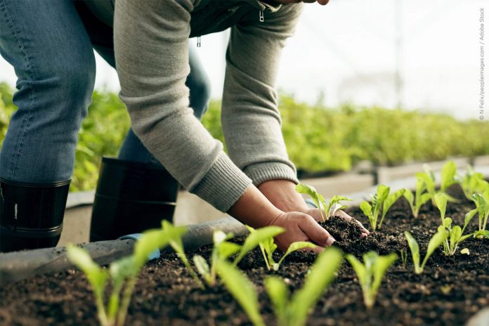 19.12 agricultors UE-min