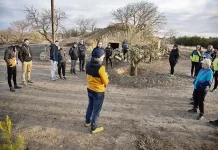 Cabanes de volta es podran reformar per allotjar turistes