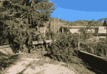 Un total de 9 persones hospitalitzades i 5.800 trucades al 112: balanç d’una ventada històrica