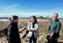 “El PPOL garanteix una gestió integrada de la franja litoral catalana: aigües territorials, platges i primera línia de costa terreste”