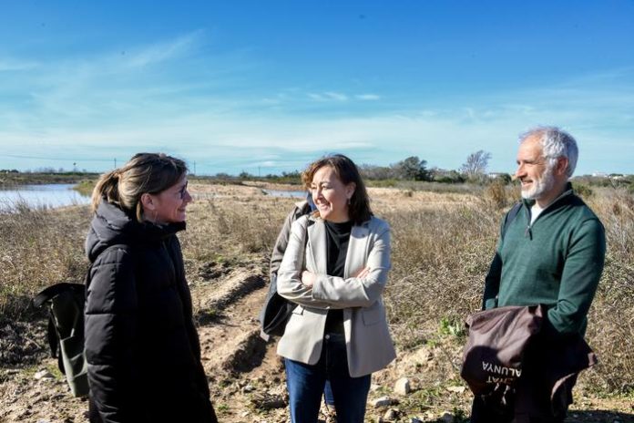 16.2 Paneque madrigueres