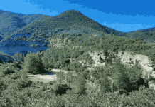 Transició Ecològica destina 3,8 M€ per facilitar la compra de finques per a la seva restauració ambiental i conservació