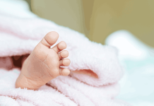 L’FMC elabora una moció per al restabliment de la inscripció de naixements al municipi del domicili dels progenitors