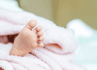 L’FMC elabora una moció per al restabliment de la inscripció de naixements al municipi del domicili dels progenitors