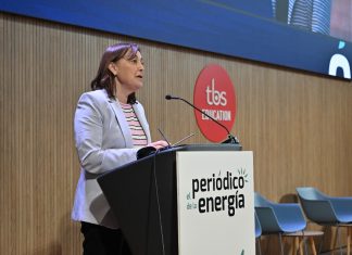 Consellera Paneque: “Volem que els ajuntaments participin en l’elaboració del PLATER per accelerar el desplegament de les renovables”