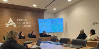 El Consell de l’Anoia presenta un estudi per impulsar una planta de biomassa vinculada a la prevenció d’incendis