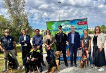 Amposta impulsa el cens genètic caní per fomentar el civisme i la protecció animal