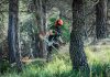 El Govern aposta per una nova estratègia de gestió forestal com a política estructural de país davant l’augment del risc d’incendis