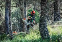 El Govern aposta per una nova estratègia de gestió forestal com a política estructural de país davant l’augment del risc d’incendis