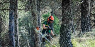 El Govern aposta per una nova estratègia de gestió forestal com a política estructural de país davant l’augment del risc d’incendis