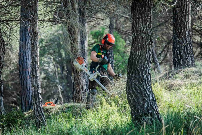 12.5 gestio forestal Govern