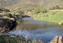 L’Albera fa el primer pas per convertir-se en parc natural