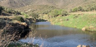 L’Albera fa el primer pas per convertir-se en parc natural