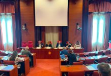 La Diputació defensa al Parlament un nou model de gestió adaptativa dels boscos per garantir el futur del món rural
