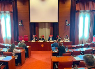 La Diputació defensa al Parlament un nou model de gestió adaptativa dels boscos per garantir el futur del món rural